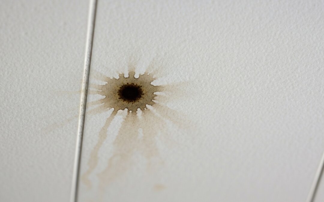 coût à l'année d'une fuite d'eau - JLG Plomberie